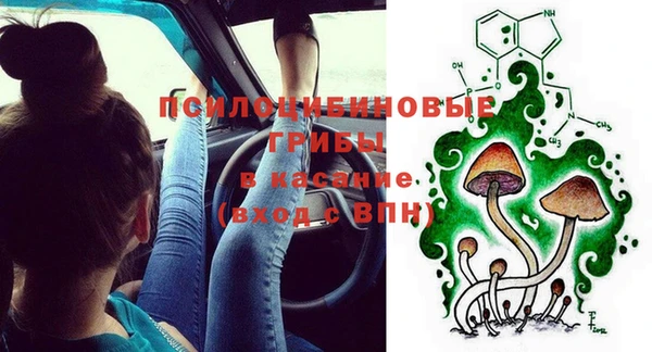 сатива Липки