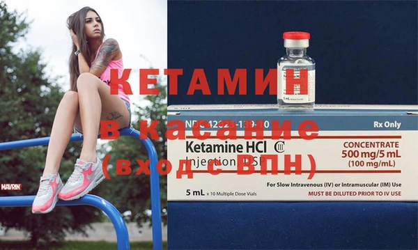 сатива Липки