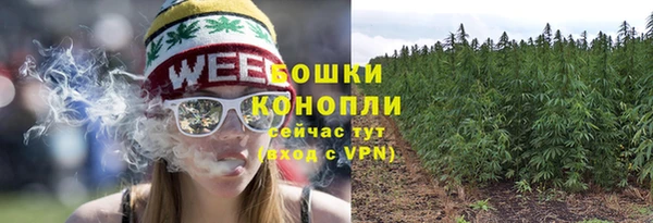 spice Магас