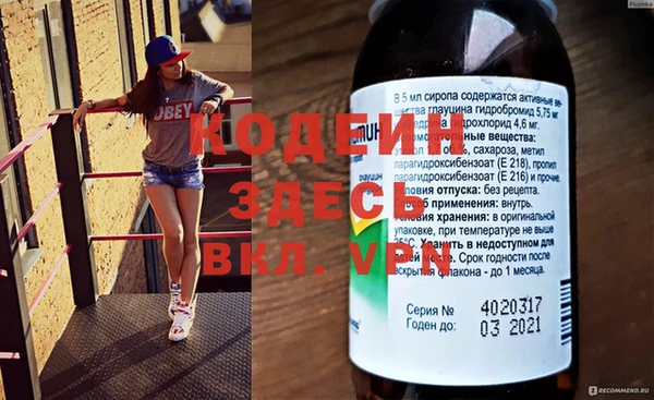 ГАЛЛЮЦИНОГЕННЫЕ ГРИБЫ Медвежьегорск