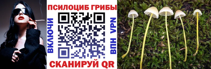 купить закладку  Лысьва  Псилоцибиновые грибы Cubensis 