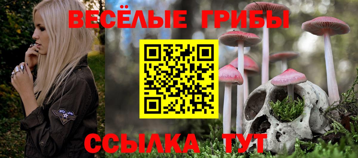 Галлюциногенные грибы Magic Shrooms Лысьва